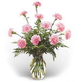 12 Pink Carnations In A Glass Vase
